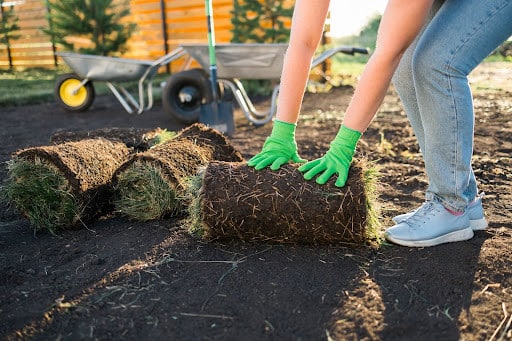 Dempster Brothers: Precision Mulch Installation for a Perfect Finish