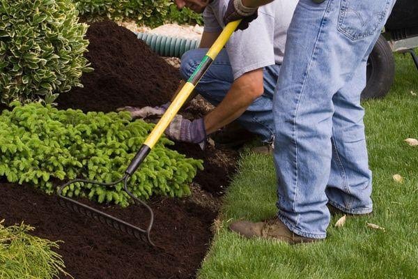 Dempster Brothers: Say Goodbye to Weeds and Hello to a Perfect Lawn