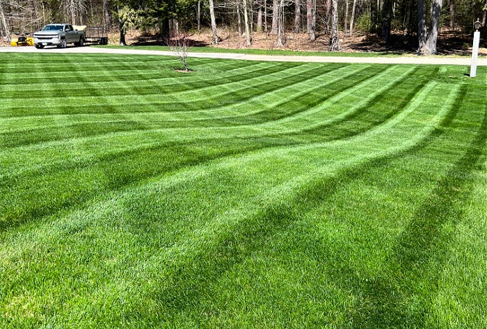 Dempster Brothers’ Expert Mowing Ensures Beauty and Free Weekends