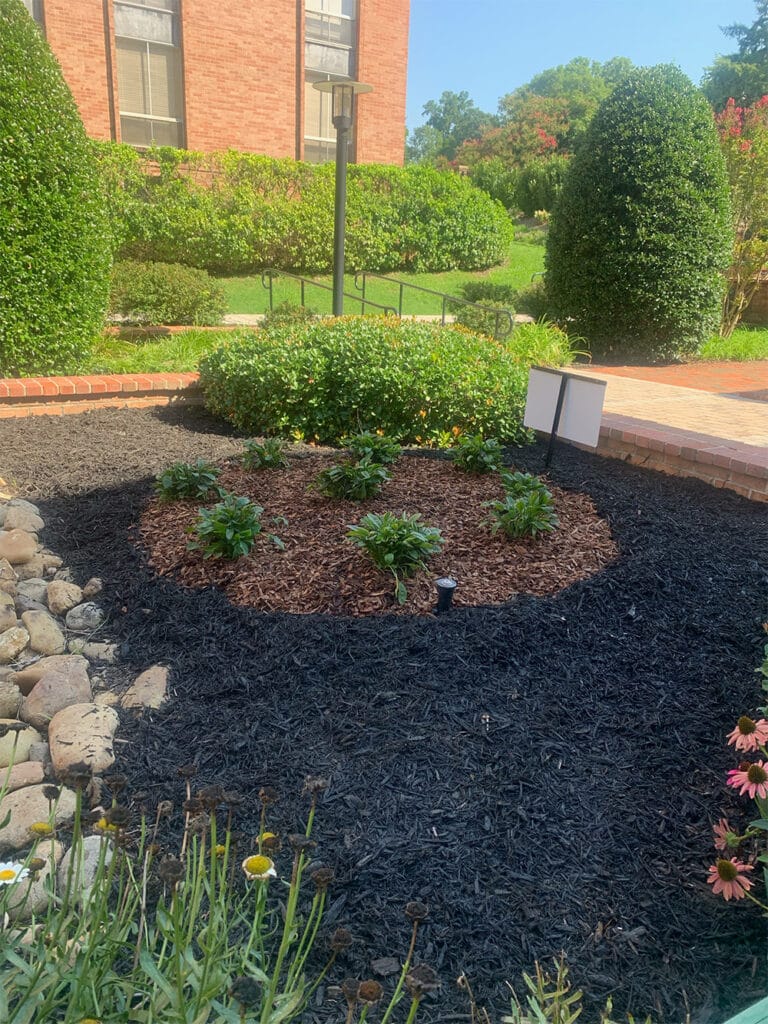 Local mulch delivery in Knoxville, TN is a convenient option for landscaping.