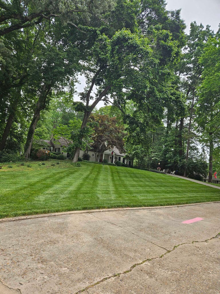 Yard mowing services in Knoxville, TN can free up your chore list.