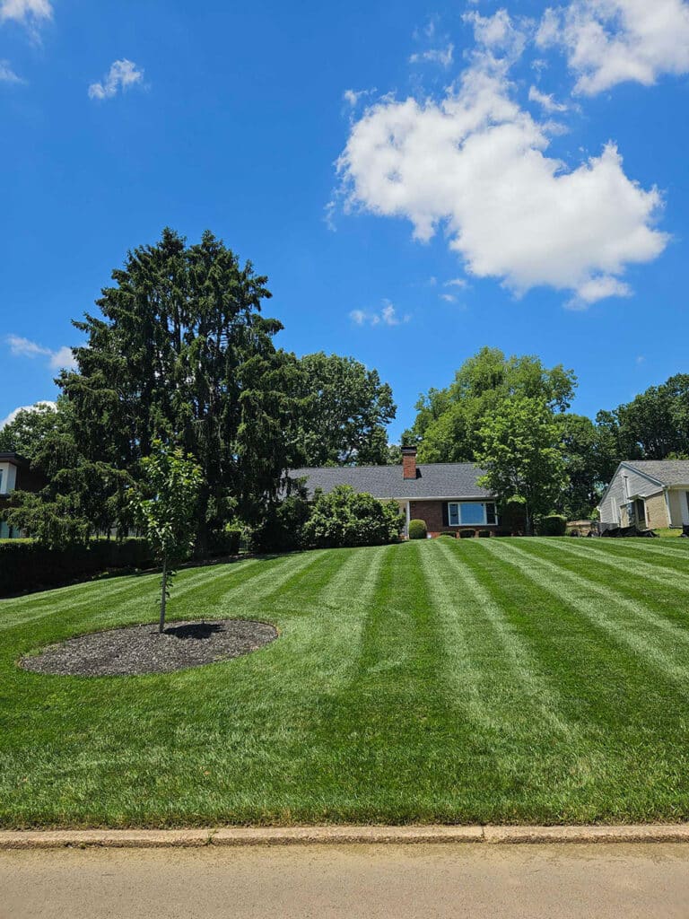 Hire for local yard mowing services in Knoxville, TN.